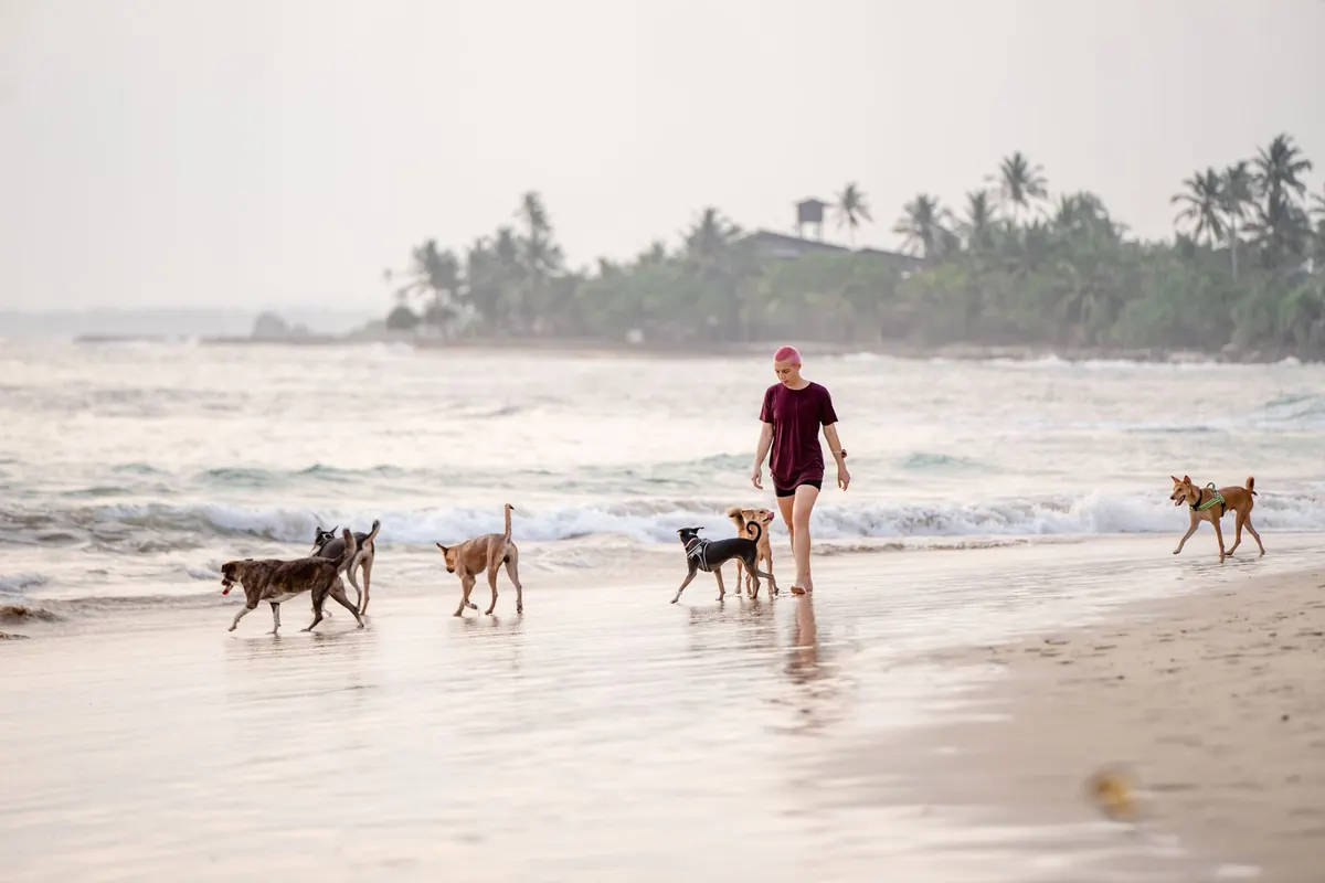 Dog Beach Walks and Tide Times: A Safety Checklist for UK Coasts